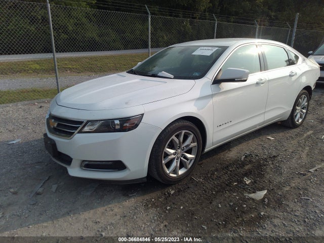 Chevrolet IMPALA LT 2019 2G11Z5S37K9119518 Image 2