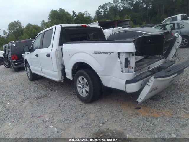 Ford F-150 Xl/lariat/xlt 2016 1FTEW1CP2GKD85689 Image 3