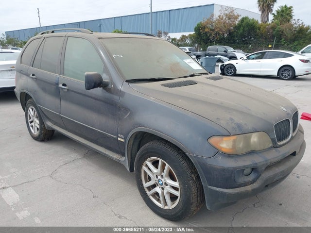 2004 BMW X5 3.0I VIN: 5UXFA13524LU21600