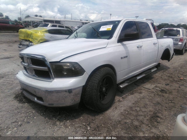 2010 DODGE RAM 1500 SLT VIN: 1D7RB1CP9AS195429