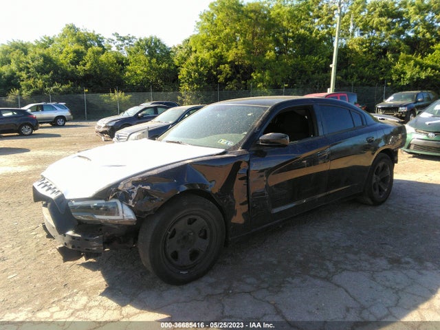 2012 DODGE CHARGER POLICE VIN: 2C3CDXAT1CH168754