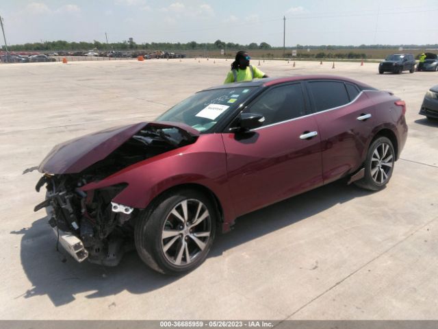1N4AA6AP6HC424752 Nissan MAXIMA SL