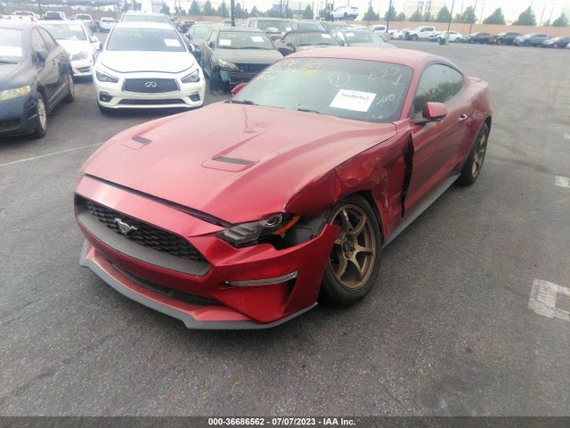 Ford Mustang Ecoboost 2019 1FA6P8TH0K5118888 Image 2