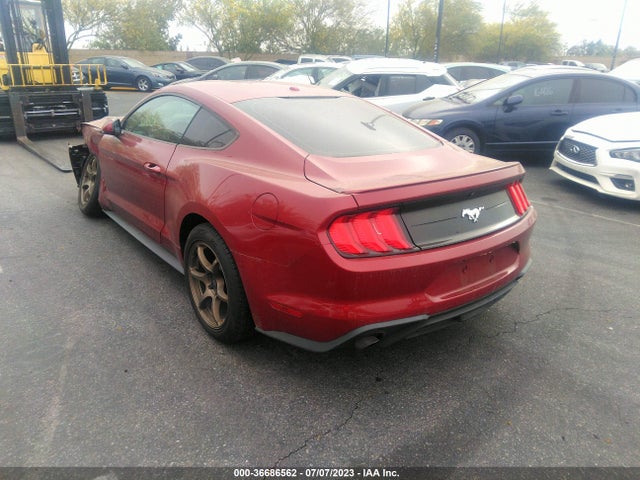 Ford Mustang Ecoboost 2019 1FA6P8TH0K5118888 Image 3