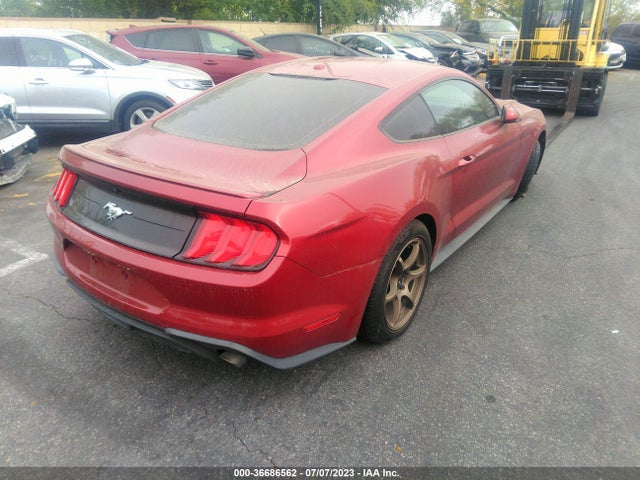 Ford Mustang Ecoboost 2019 1FA6P8TH0K5118888 Image 4