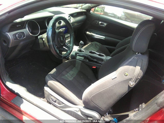Ford Mustang Ecoboost 2019 1FA6P8TH0K5118888 Image 5