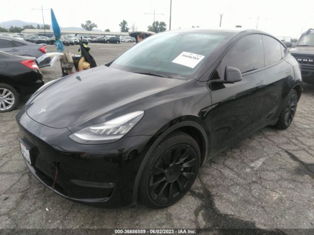 5YJYGDEE7MF159194 Tesla Model Y Long Range