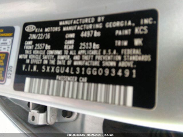 5XXGU4L31GG093491 KIA OPTIMA EX