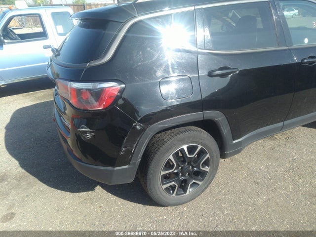 3C4NJDDB0LT232661 Jeep Compass Trailhawk