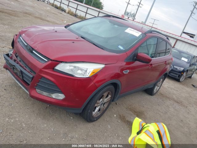 1FMCU0GX9EUC67900 Ford ESCAPE SE