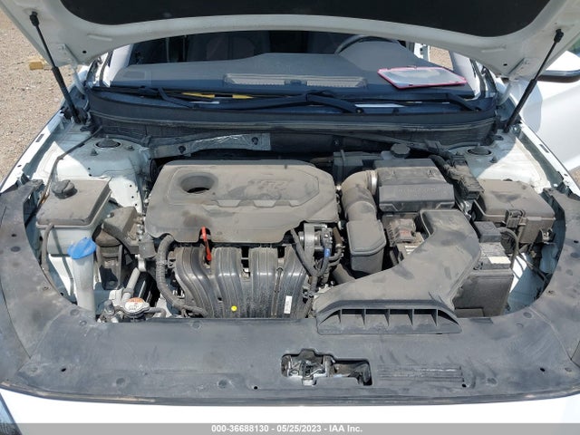 Hyundai SONATA SEL 2019 5NPE34AF1KH820505 Image 11