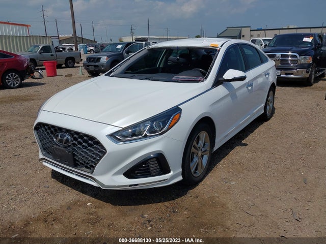 Hyundai SONATA SEL 2019 5NPE34AF1KH820505 Image 2