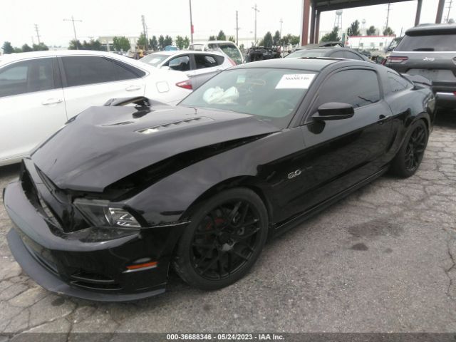 1ZVBP8CF2E5313707 Ford MUSTANG GT