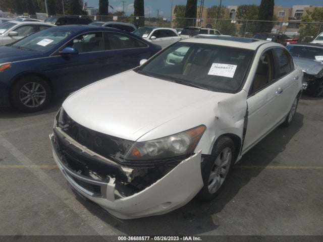 2010 HONDA ACCORD SDN EX-L VIN: 1HGCP3F89AA009137