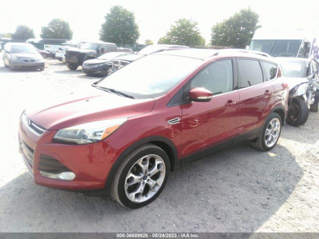 1FMCU0J98EUB83352 Ford Escape Titanium