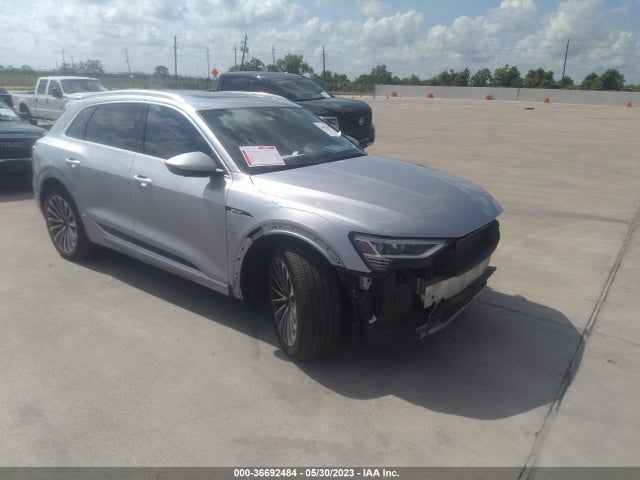 2019 Audi e-tron, VIN: WA1VAAGE9KB024406