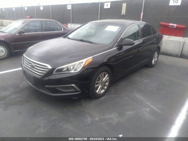 Hyundai Sonata 2.4l Se 2016 5NPE24AF5GH280473 Image 2