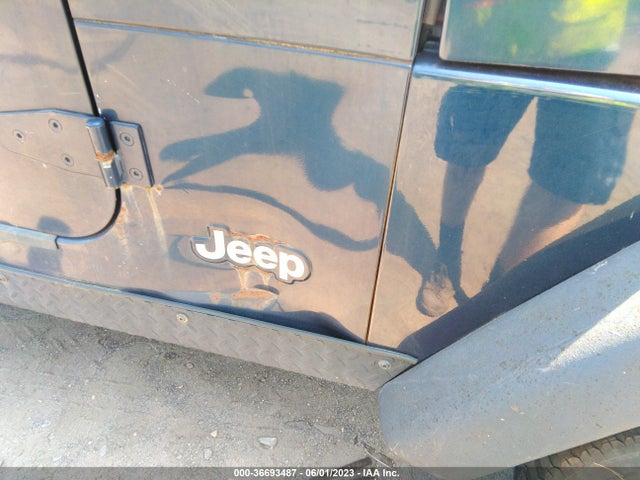 2004 JEEP WRANGLER RUBICON VIN: 1J4FA69S54P736759