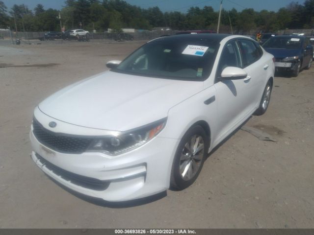 5XXGU4L39GG081511 KIA OPTIMA EX