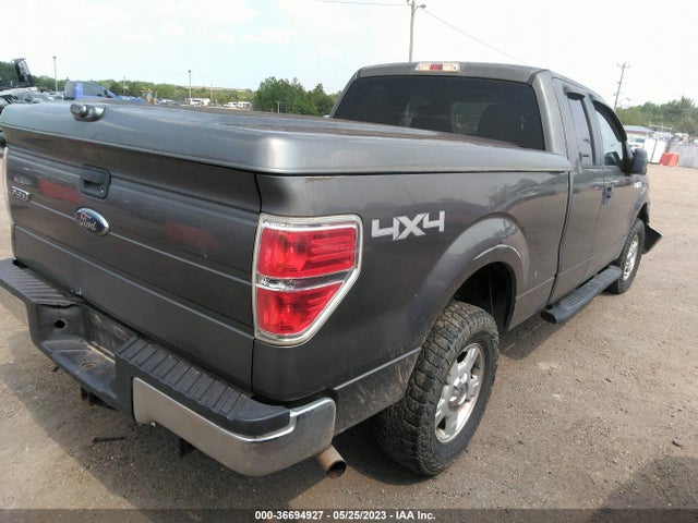 2010 FORD F-150 XLT VIN: 1FTEX1E85AKE46821