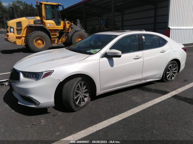 19UUB1F35LA003009 Acura TLX