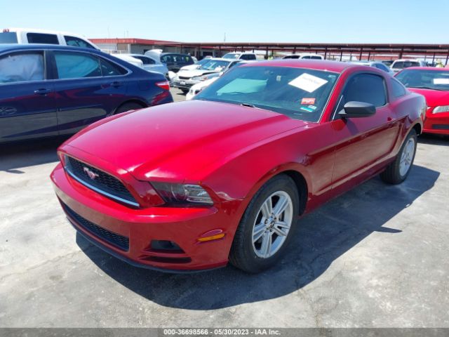 1ZVBP8AM2E5250416 Ford Mustang V6