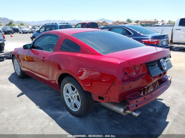 1ZVBP8AM2E5250416 Ford Mustang V6