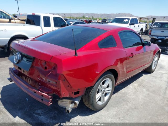1ZVBP8AM2E5250416 Ford Mustang V6