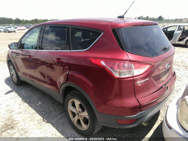 Ford ESCAPE SE 2014 1FMCU0GX5EUD56606 Image 4