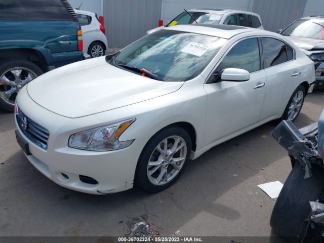 1N4AA5AP3EC483943 Nissan Maxima 3.5 S