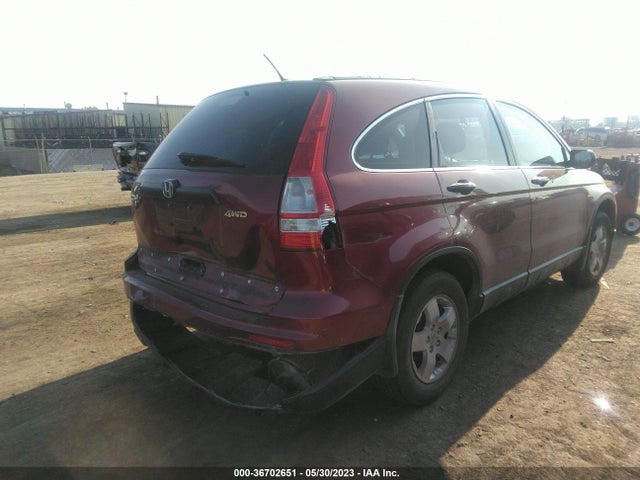 2010 HONDA CR-V LX VIN: 5J6RE4H38AL062223