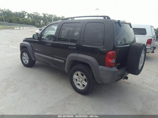 2002 JEEP LIBERTY SPORT VIN: 1J4GL48K82W191213