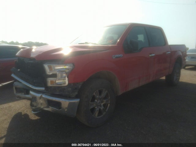 2015 FORD F-150 XLT/XL/LARIAT/PLATINUM VIN: 1FTEW1EG3FFB84260