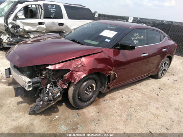 1N4AA6AP1GC419781 Nissan Maxima 3.5 S