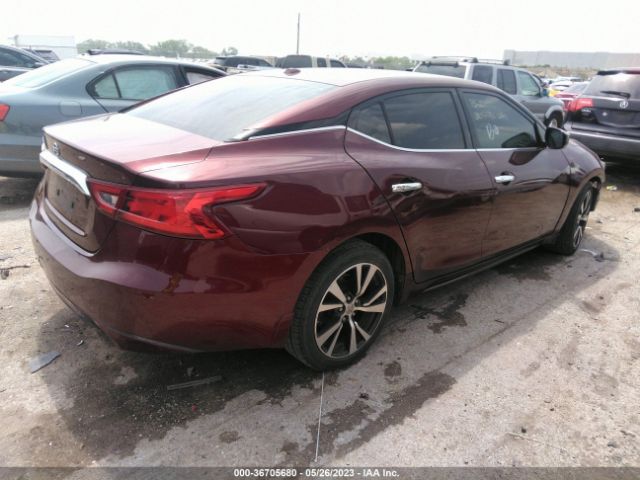1N4AA6AP1GC419781 Nissan Maxima 3.5 S