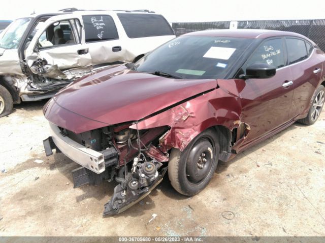 1N4AA6AP1GC419781 Nissan Maxima 3.5 S