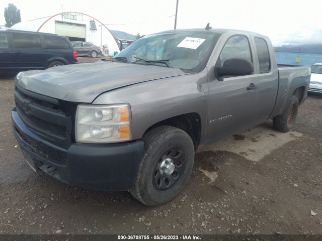 2009 CHEVROLET SILVERADO 1500 WORK TRUCK VIN: 1GCEK19J99Z196255