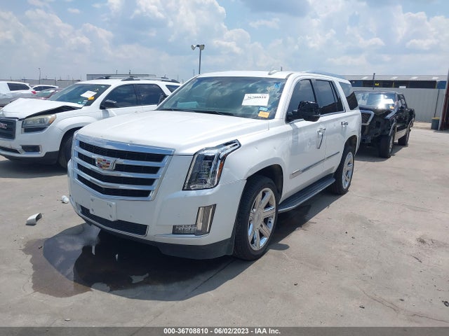 1GYS3BKJ8GR300841 Cadillac Escalade Luxury Collection