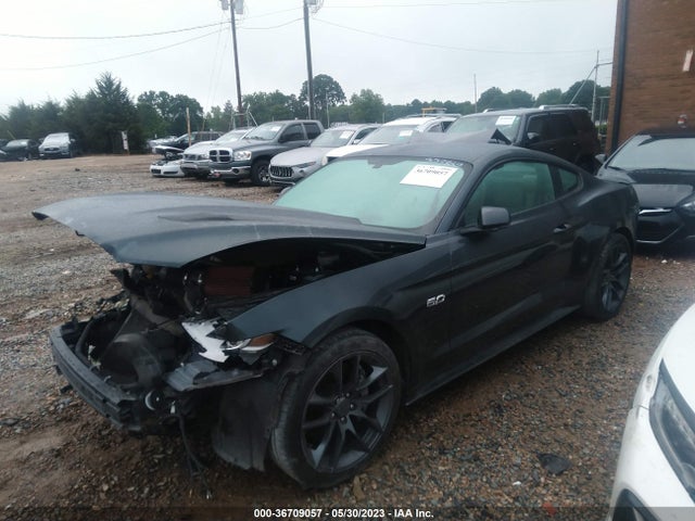 2015 FORD MUSTANG GT VIN: 1FA6P8CF1F5335869