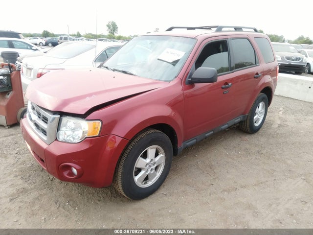2011 FORD ESCAPE XLT VIN: 1FMCU0D78BKC09997