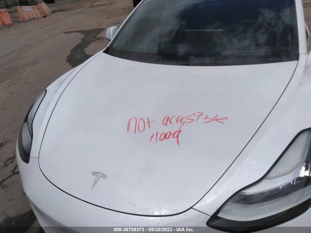 Tesla Model 3 Range 2019 5YJ3E1EA9KF301537 Image 11