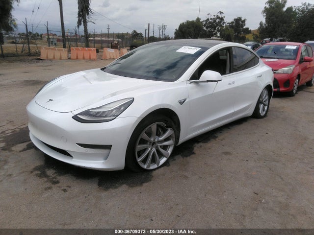 Tesla Model 3 Range 2019 5YJ3E1EA9KF301537 Image 2