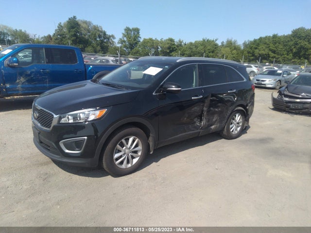 KIA SORENTO LX 2016 5XYPG4A31GG079872 Image 2