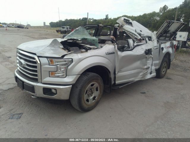 1FTEW1EG5FFA55730 Ford F-150 Xlt/xl/lariat/platinum