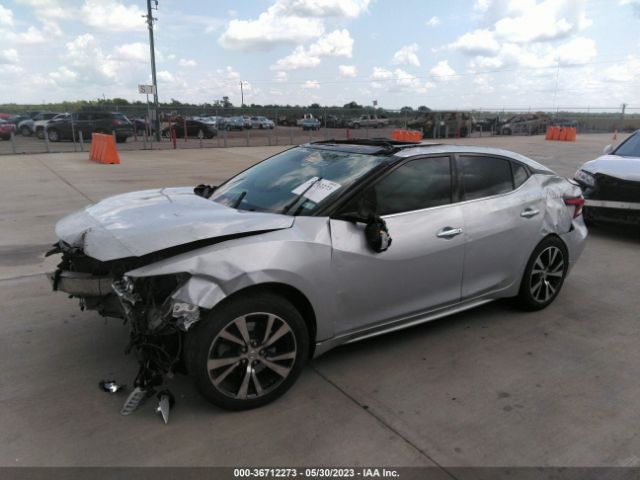 1N4AA6AP0HC388556 Nissan Maxima Platinum