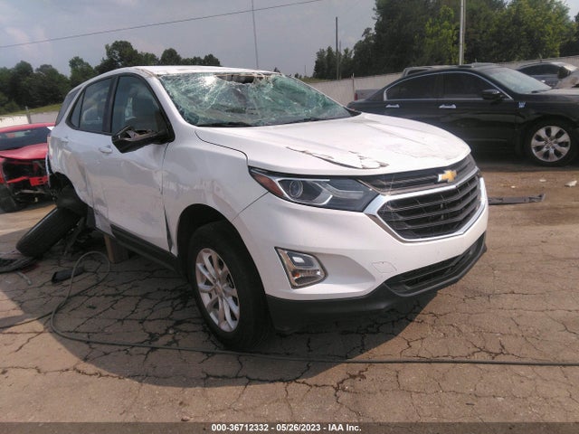 Chevrolet EQUINOX LS 2018 2GNAXHEV7J6166602 Image 1