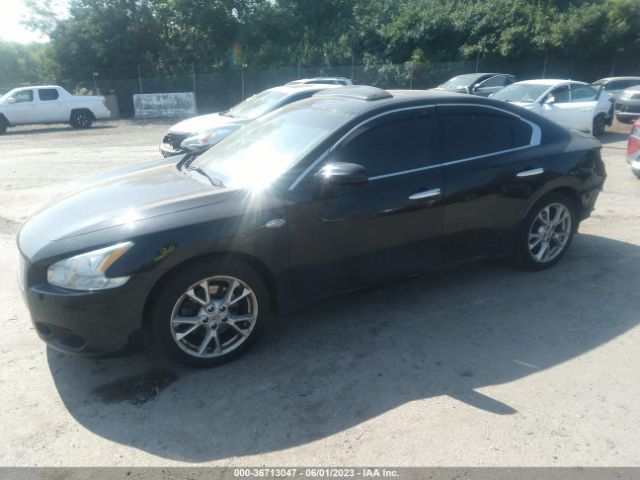 1N4AA5AP5EC445226 Nissan Maxima 3.5 S