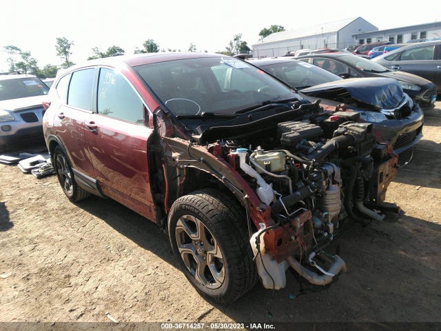2019 5J6RW1H59KL002613 main image