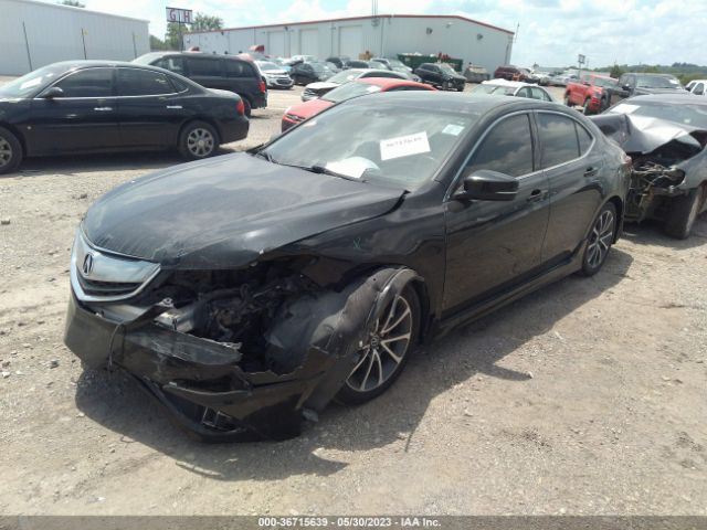 19UUB3F79GA000067 Acura Tlx Advance