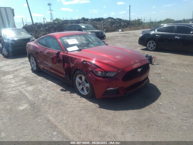 2017 1FA6P8AM8H5333959 main image